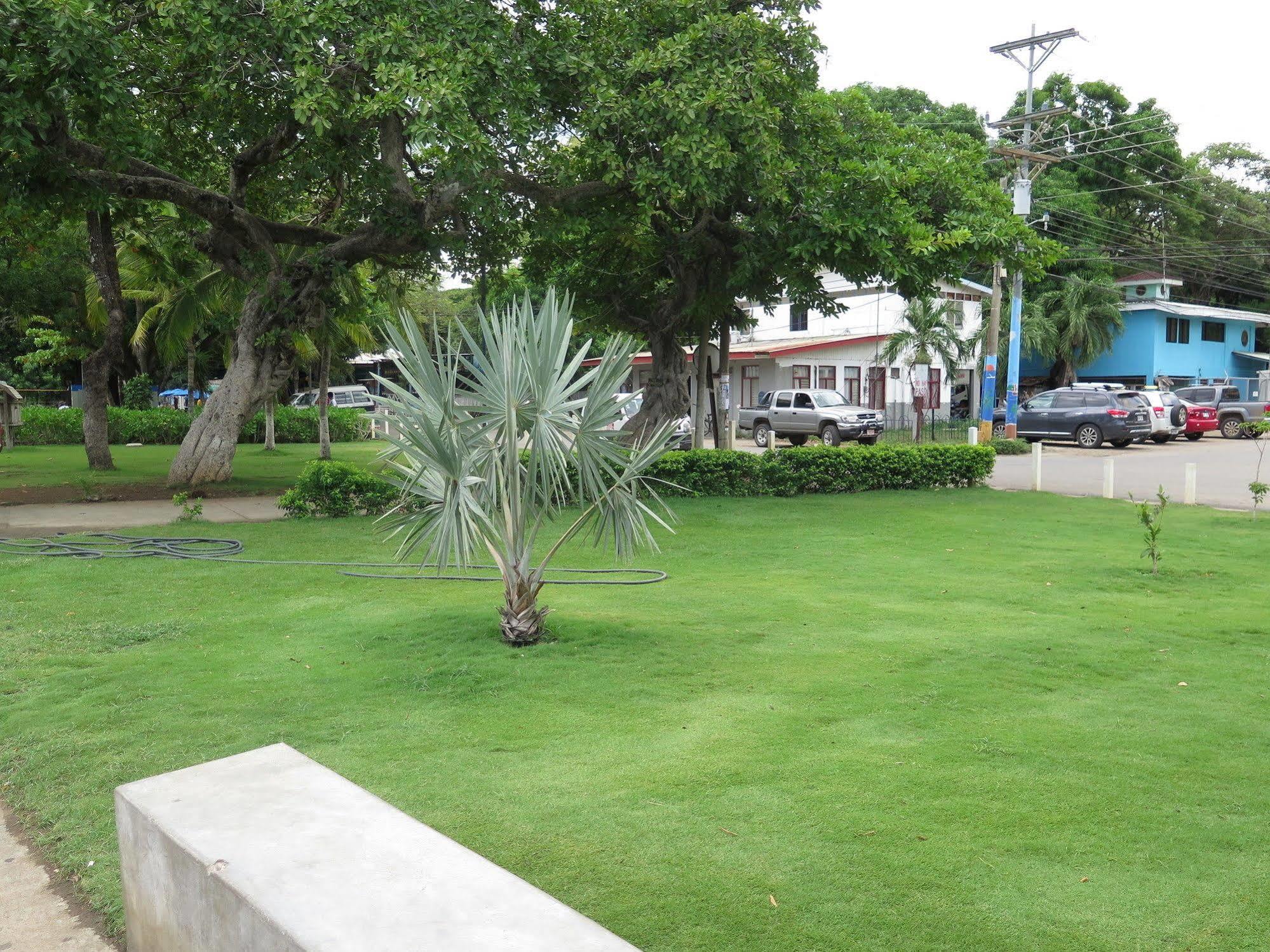 Hotel Savannah Playas del Coco Buitenkant foto